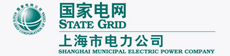 政府項目工程：上海電力公司